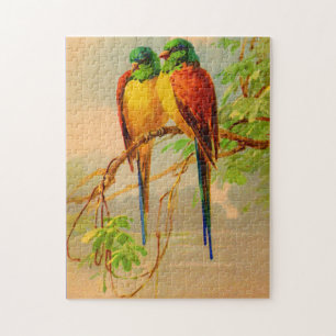 Puzzle impresión de aves hermosas