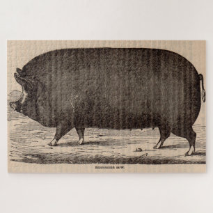 Puzzle Impresión de cerdos del siglo XIX Berkshire sow no