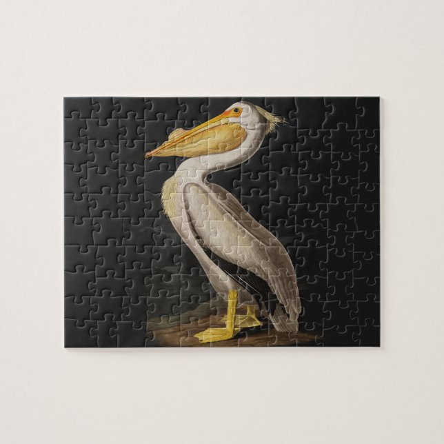 Puzzle Impresión de cosecha de pájaros pelícanos blancos  (Horizontal)