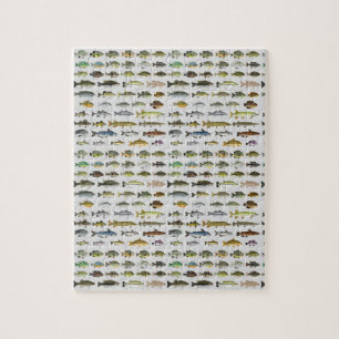 Puzzle Impresión de lienzo para grupo de peces de agua d
