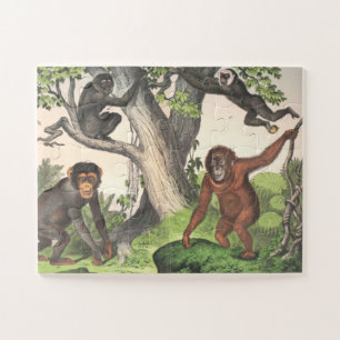 Puzzle Impresión de monos antiguos