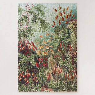 Puzzle Impresión de naturaleza de musgo de Ernst Haeckel