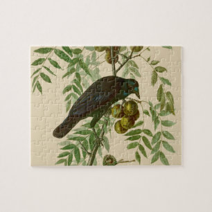 Puzzle Impresión de pájaro Grackle púrpura de Audubon Vin