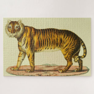 Puzzle Impresión de tigre de 1824