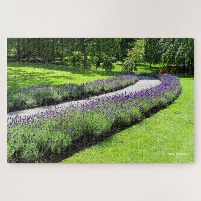 Puzzle Impresionante Caminata Jardín con Lino de Lavanda (Horizontal)