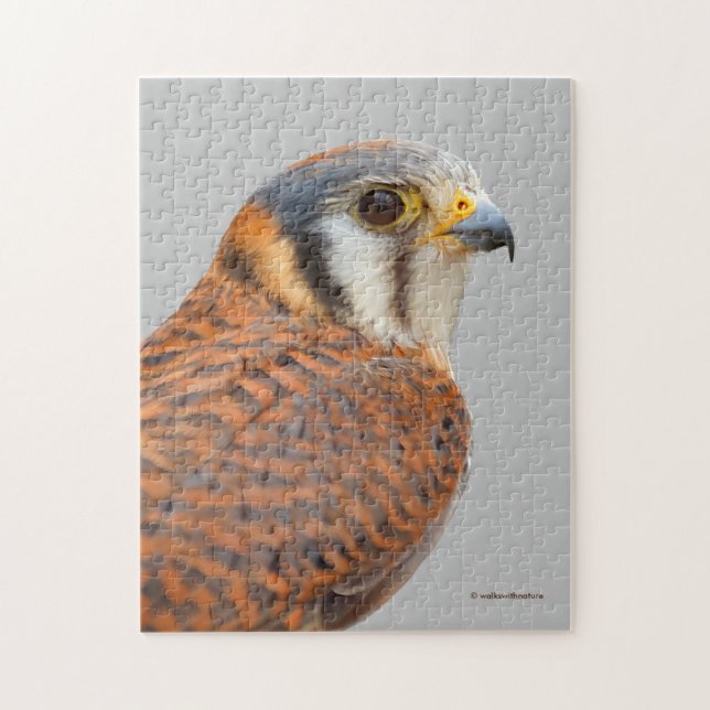Puzzle Impresionante Cernícalo De Cernícalo De Sparrowhaw (Vertical)