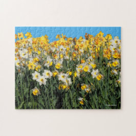 Puzzle Impresionante fotografía floral de dos tonalidades