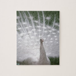 Puzzle Impresionante penacho de pavo real blanco (Peafowl