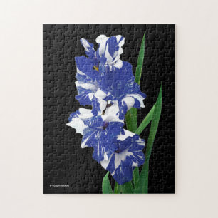 Puzzle Impresionante Royal Blue & White Gladiolus Sword L