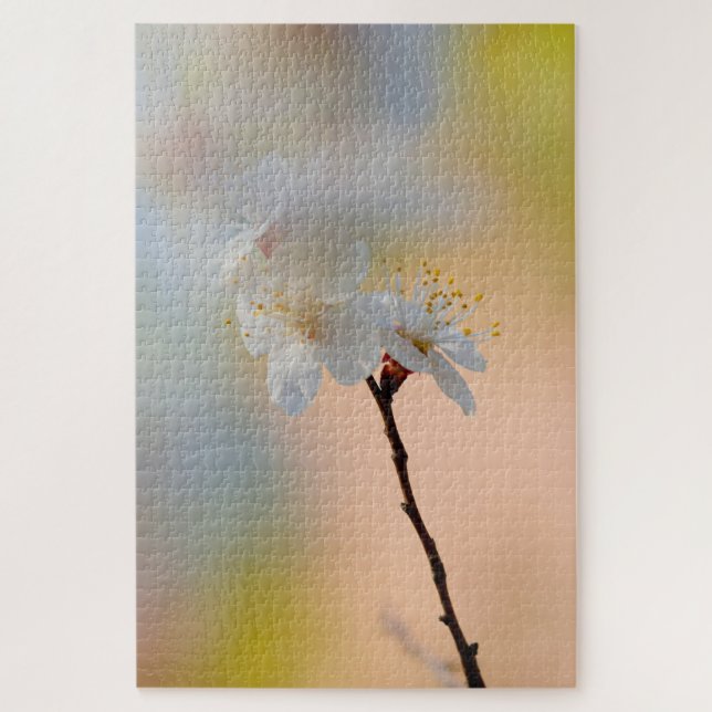 Puzzle Impresionantes flores de albaricoque japonesas (Vertical)