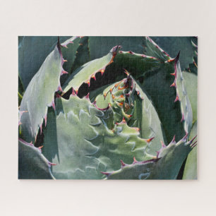 Puzzle Impresiones Agave, Fotografía Detallada,