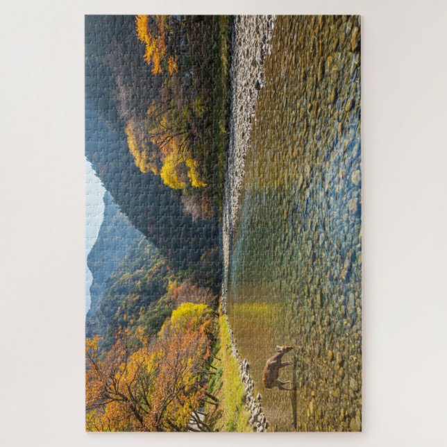 Puzzle In Autumn (Vertical)
