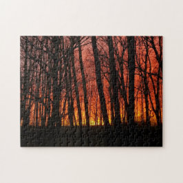 Puzzle Incendio En El Atardecer De La Selva Del Cielo