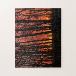 Puzzle Incendio En El Atardecer De La Selva Del Cielo