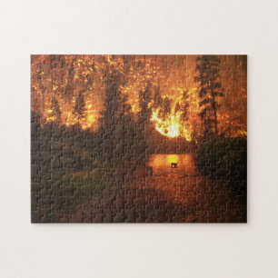 Puzzle Incendio forestal - ciervo