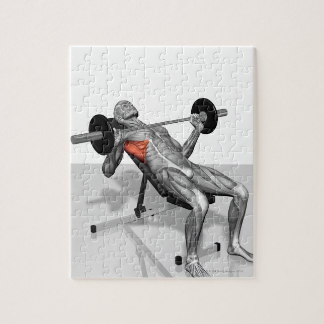 Puzzle Incline Bench Press 2 (Vertical)