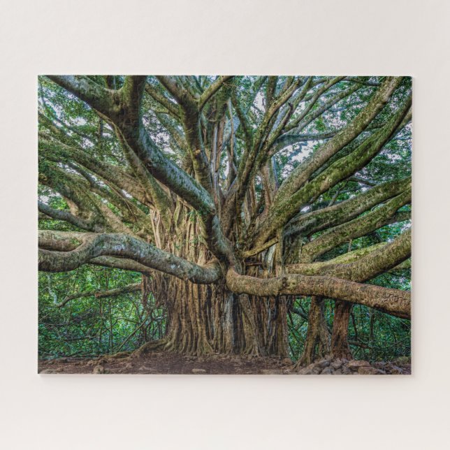 Puzzle Increíble árbol de Banyan (Horizontal)