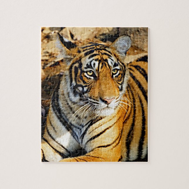 Puzzle India, Sawai Madhopur, Ranthambore National (Vertical)