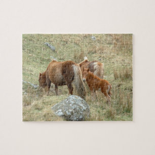 Puzzle Inglaterra y Ponnies Dartmoor, Caballos Salvajes/G
