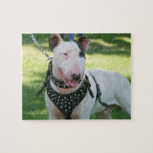 Puzzle Inglés bull terrier