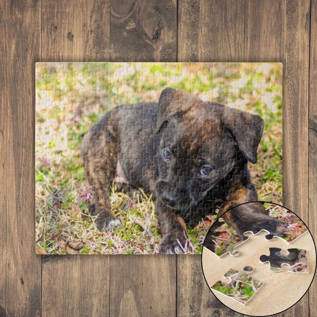 Puzzle Innocent Brindle Puppy (Innocent Brindle Puppy Jigsaw Puzzle)