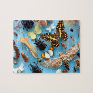 Puzzle Insectos, mariposas y polillas