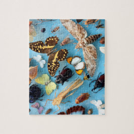 Puzzle Insectos, mariposas y polillas