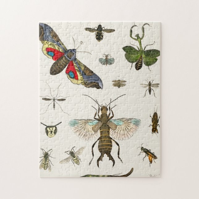 Puzzle insects, insect, nature, butterfly, bugs, bee (Vertical)