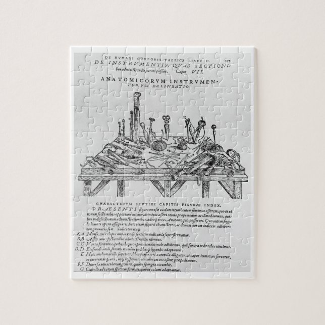 Puzzle Instrumentos para las disecciones, ilustracion del (Vertical)