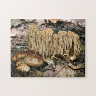 Puzzle Interesante naturaleza de hongos salvajes