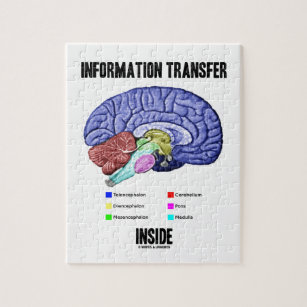 Puzzle Interior de la transmisión informativa (anatomía