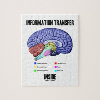 Puzzle Interior de la transmisión informativa (anatomía