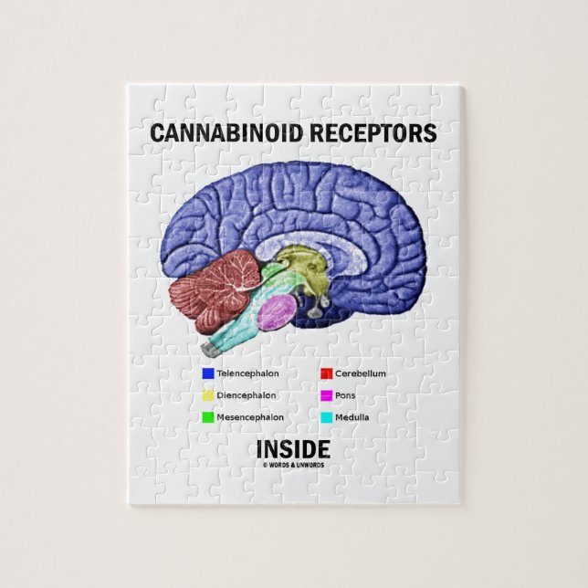 Puzzle Interior de los receptores de Cannabinoid (Vertical)