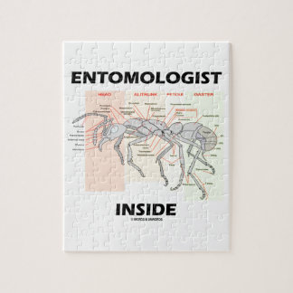 Puzzle Interior del entomólogo (anatomía de la hormiga