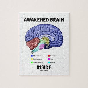 Puzzle Interior despertado del cerebro (anatomía del