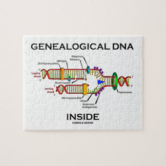 Puzzle Interior genealógico de la DNA (actitud del