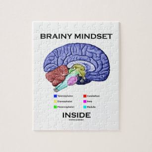 Puzzle Interior inteligente del modo de pensar (cerebro