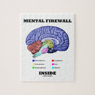 Puzzle Interior mental del cortafuego (cerebro anatómico)