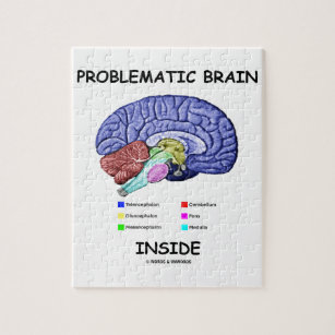 Puzzle Interior problemático del cerebro (anatomía del