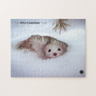 Puzzle Invierno - Combustible con cola corta
