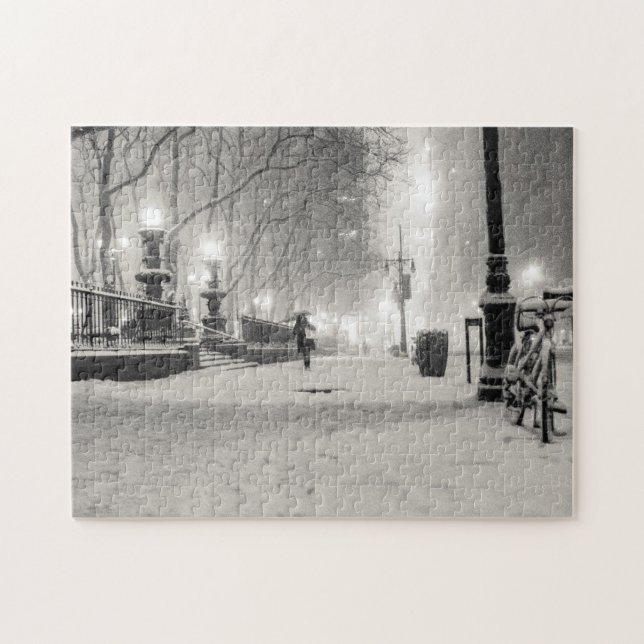 Puzzle Invierno de Nueva York - noche Nevado - parque de (Horizontal)