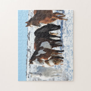 Puzzle Invierno en la cuenca del lavado de arena