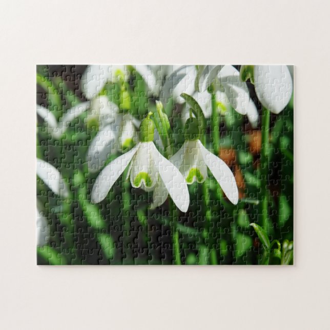 Puzzle Invierno Nieve gotas de lluvia Primavera Flor Bouq (Horizontal)