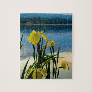 Puzzle Iris amarillo en la orilla del lago