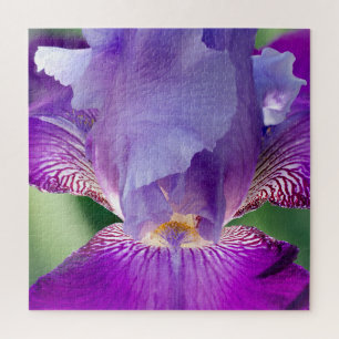 Puzzle Iris Brillante Foto de Naturaleza / Floral / Botán