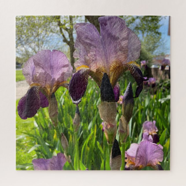 Puzzle Iris con barba (Vertical)