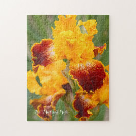 Puzzle Iris ‘Michigan Pride’ [Rompecabezas: 252P] ジグソーパズ