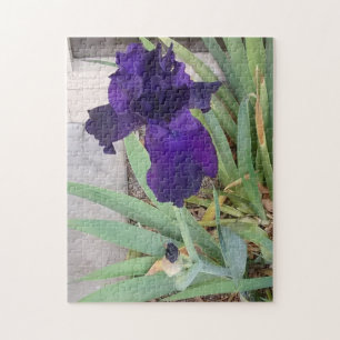 Puzzle Iris morado