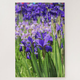 Puzzle Iris morado en Bloom, Elizabeth Park Gardens