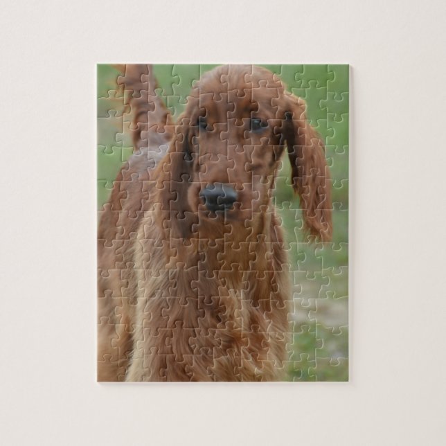 Puzzle Irish Setter adorable (Vertical)